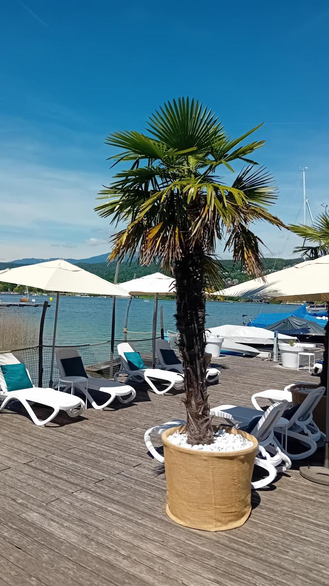 Tennis & Yacht Hotel Velden Velden am Wörthersee Екстериор снимка
